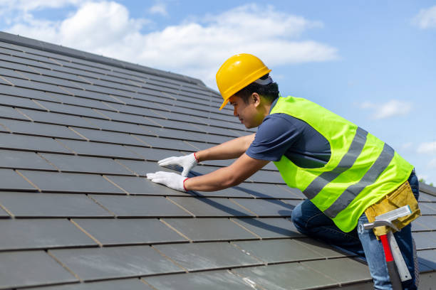 Best Storm Damage Roof Repair  in St Louis, MI
