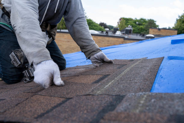 Quick and Trustworthy Emergency Roof Repair Services in St Louis, MI