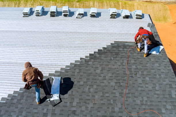 Best Roofing Contractor Near Me  in St Louis, MI