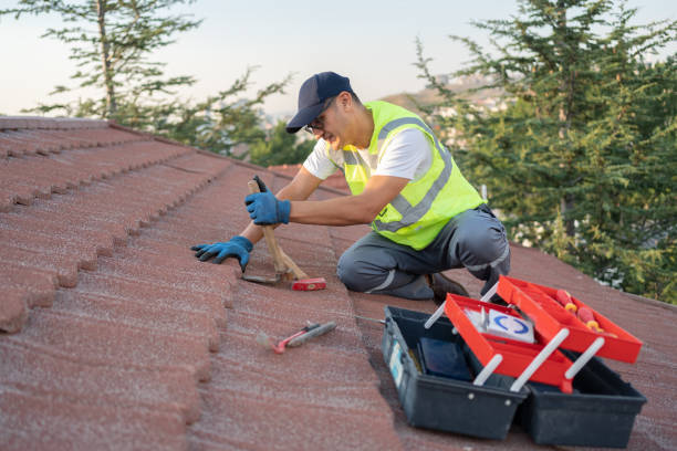 Best Roof Gutter Cleaning  in St Louis, MI