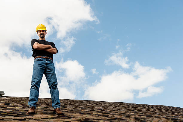 Best Metal Roofing Contractor  in St Louis, MI