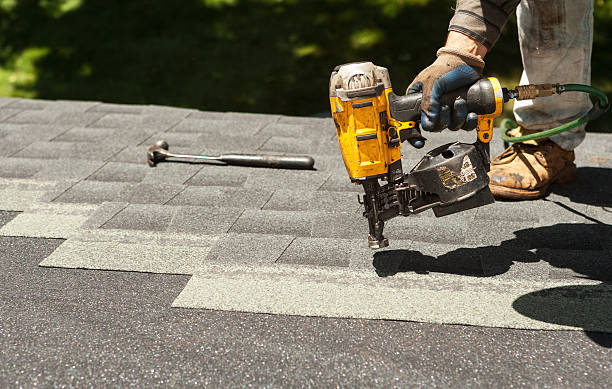Best Roof Gutter Cleaning  in St Louis, MI